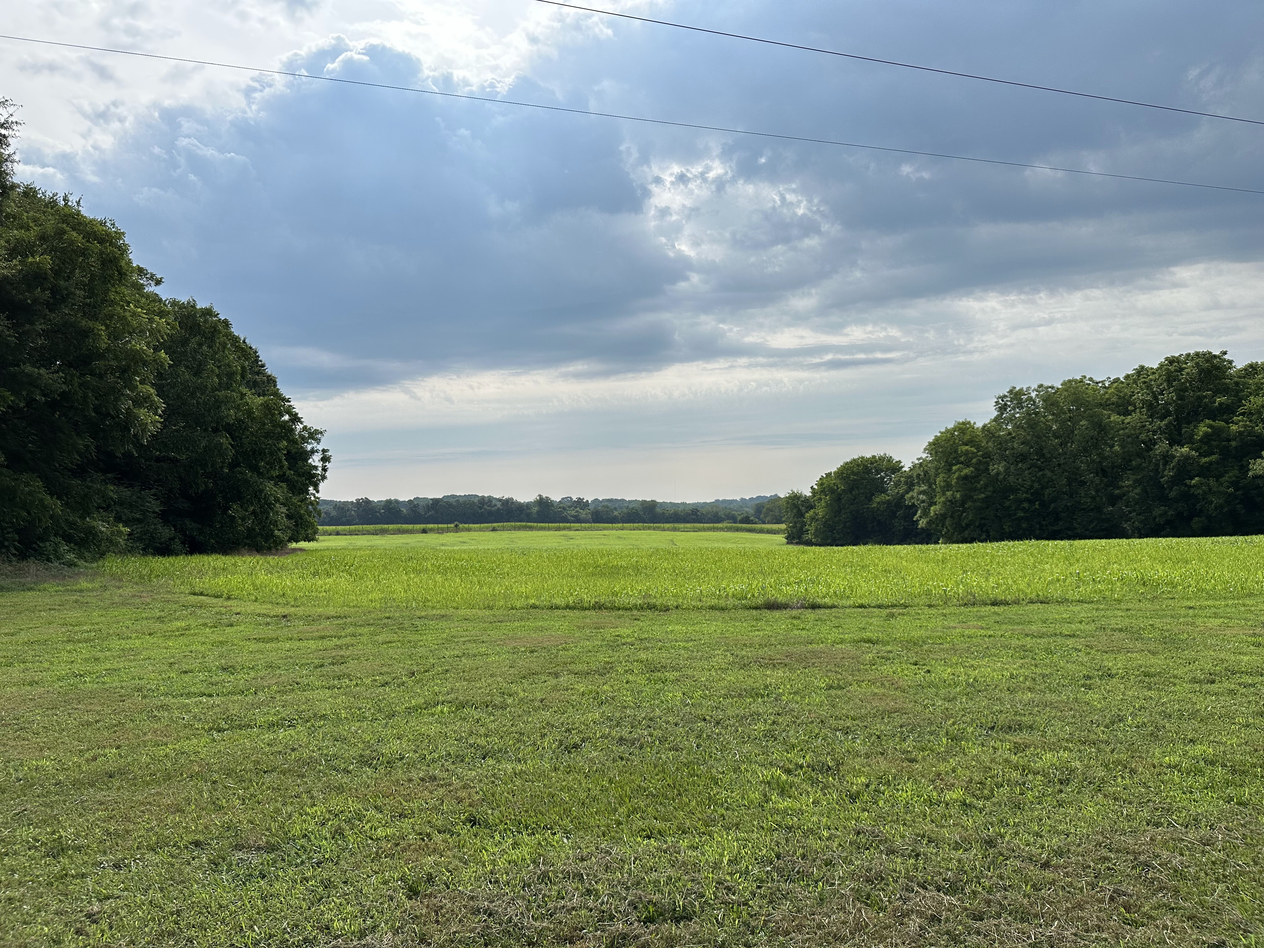 View looking south from the Hugh Hall House